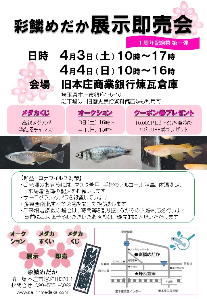 彩鱗展示会